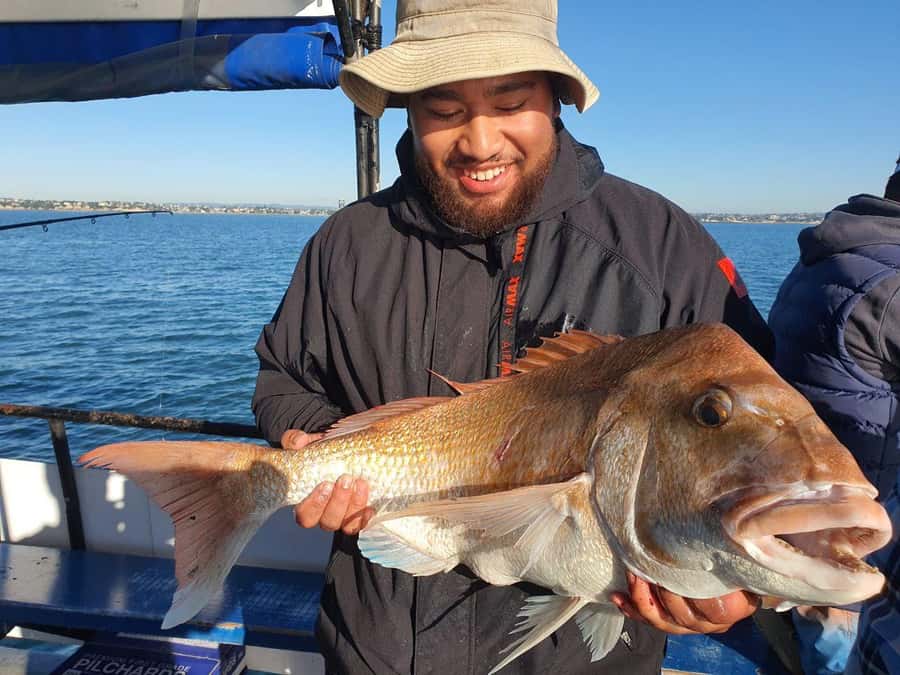 Auckland: Full-Day Fishing Charter (7 am - 4 pm) - A full day in the Hauraki Gulf