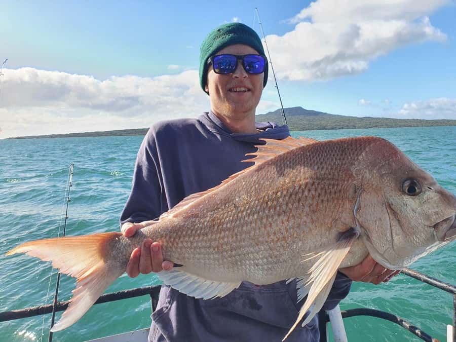 Auckland: Twilight Fishing Charter 5pm - 9:30pm - What the 5pm to 9:30pm schedule feels like