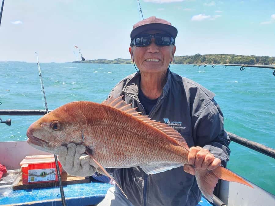 Auckland: Twilight Fishing Charter 5pm - 9:30pm - What the $40 price really covers