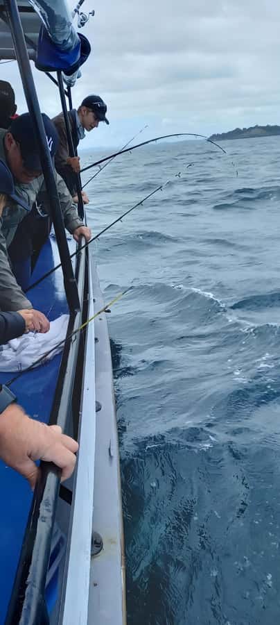 Auckland: Twilight Fishing Charter 5pm - 9:30pm - Packing dinner, bait, and a chilly bin
