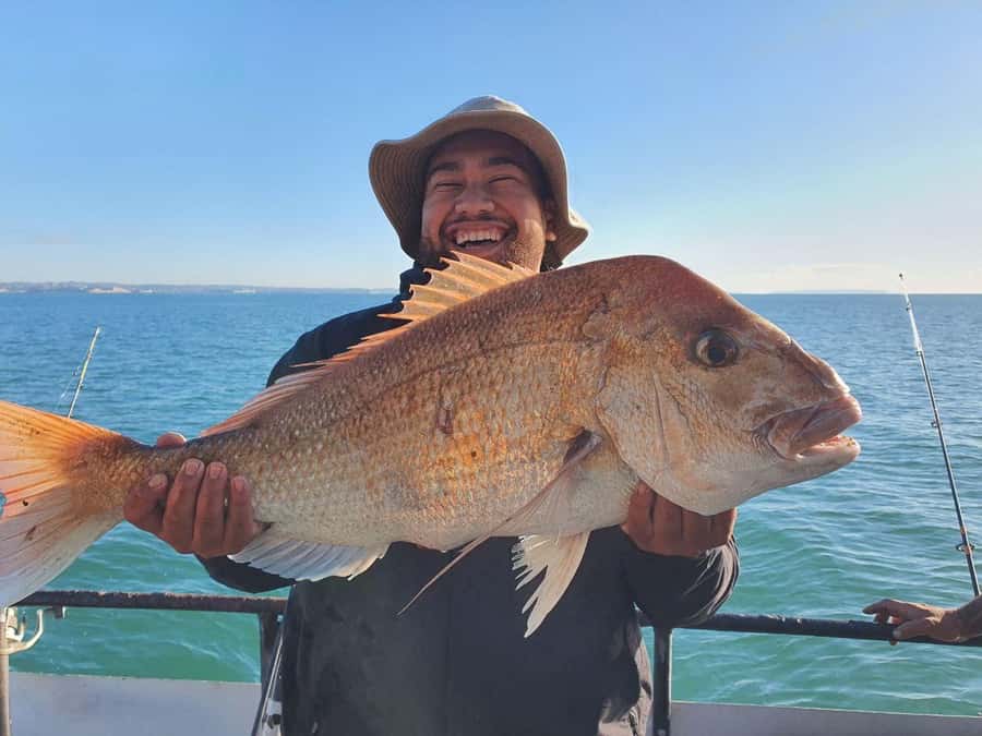 Auckland: Twilight Fishing Charter 5pm - 9:30pm - Fishing the Hauraki Gulf for snapper and kahawai