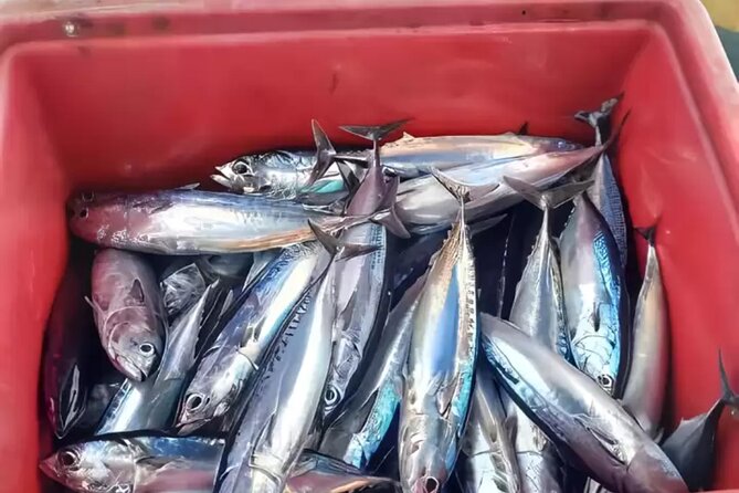 Bali: Fishing Charter Private Boat - From Ubud to East Bali’s fishing coast