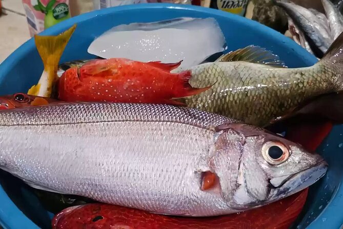 Bali: Fishing Charter Private Boat - Who should book this East Bali outing?