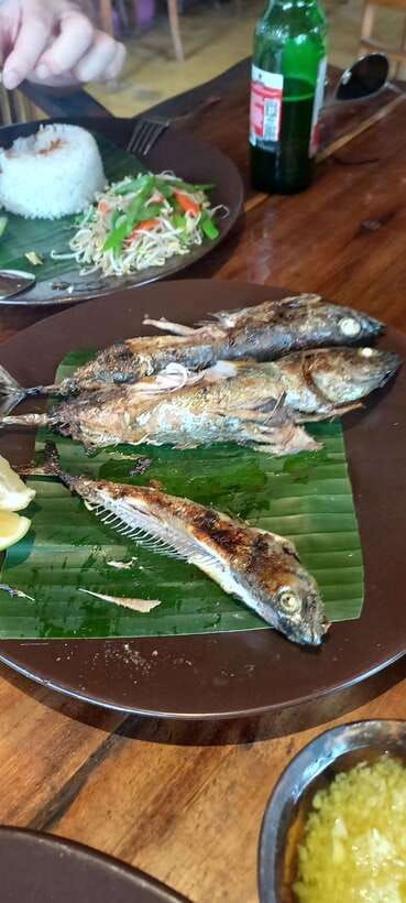 Bali : Fishing Trip & Blue lagoon Snorkeling : All Inclusive - Lunch on the coast and what the package covers