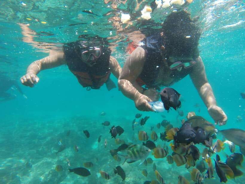 Bali : Fishing Trip & Blue lagoon Snorkeling : All Inclusive - How the guides shape the experience