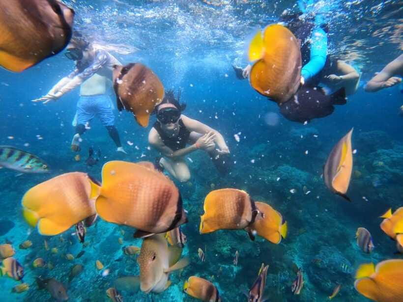 Bali Full Day Trip Fishing, Snorkeling,Eat in Candidasa - Timing, age limits, and what to pack