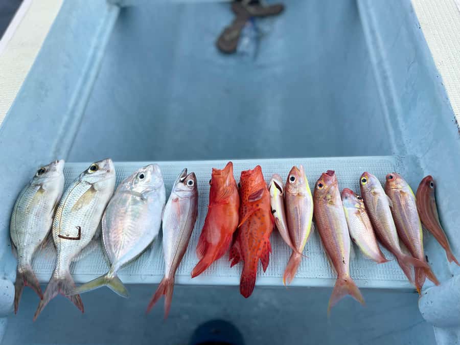 Bali/Lovina: Private Fishing Tour with Snorkeling Option - What the fishing feels like on a private boat