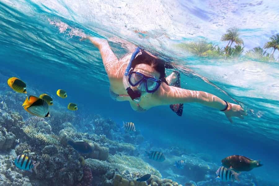 Bali/Lovina: Private Fishing Tour with Snorkeling Option - Who will enjoy this most