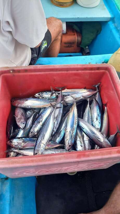 Bali: Private Fishing Trip with Lunch - Key points to know before booking