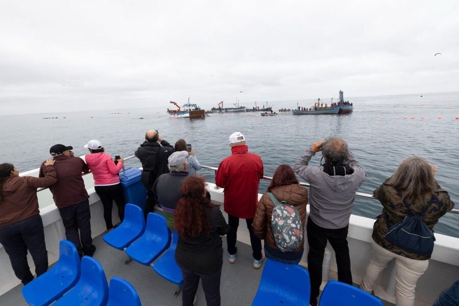 Barbate: Boat Tour to the Almadraba of Conil (Tuna Fishing) - Returning to Barbate for unloading and tasting