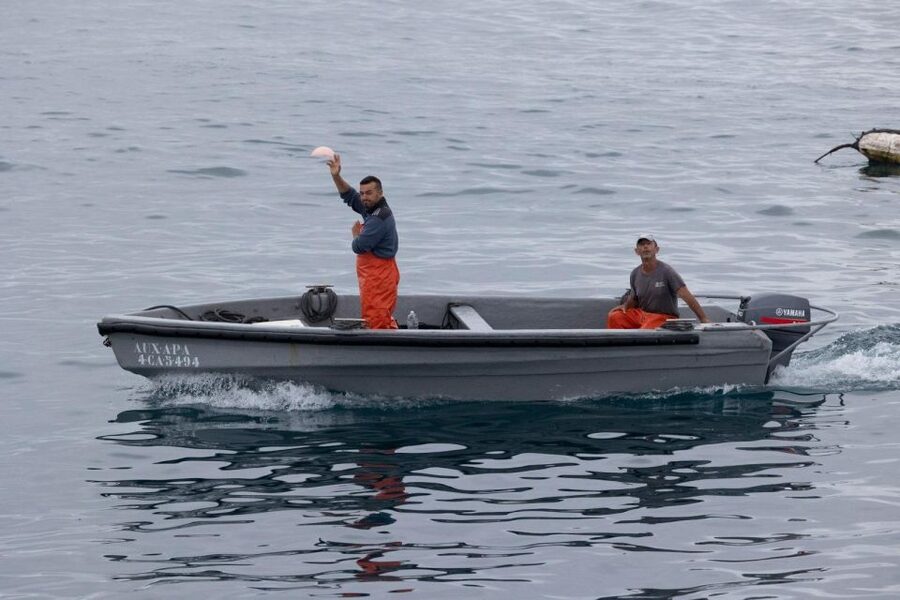 Barbate: Boat Tour to the Almadraba of Conil (Tuna Fishing) - Price, value, and who will enjoy it
