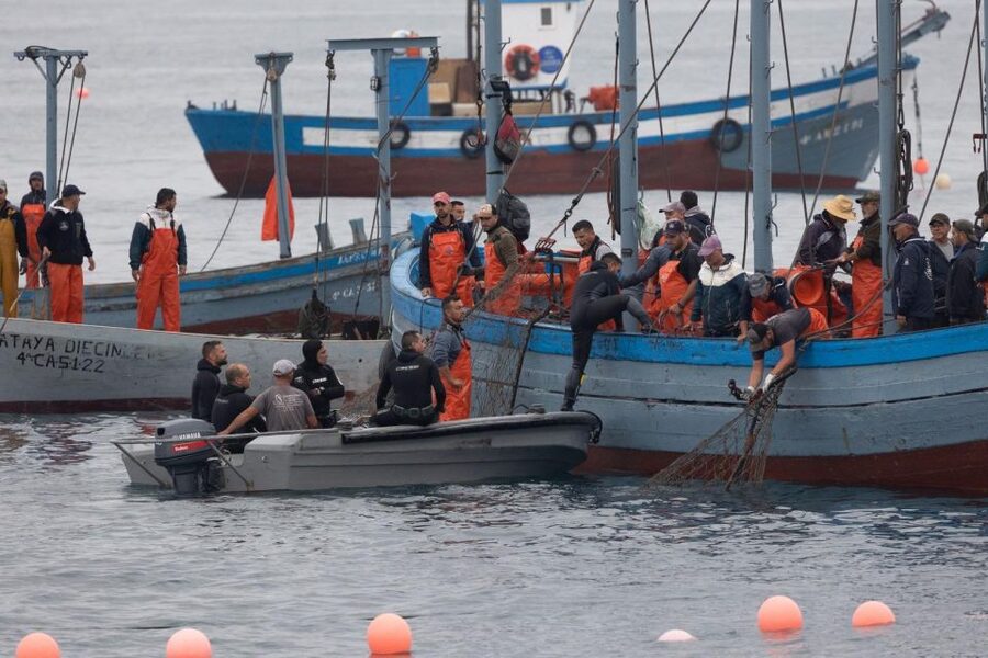 Barbate: Boat Tour to the Almadraba of Conil (Tuna Fishing) - Weather, season, and booking flexibility