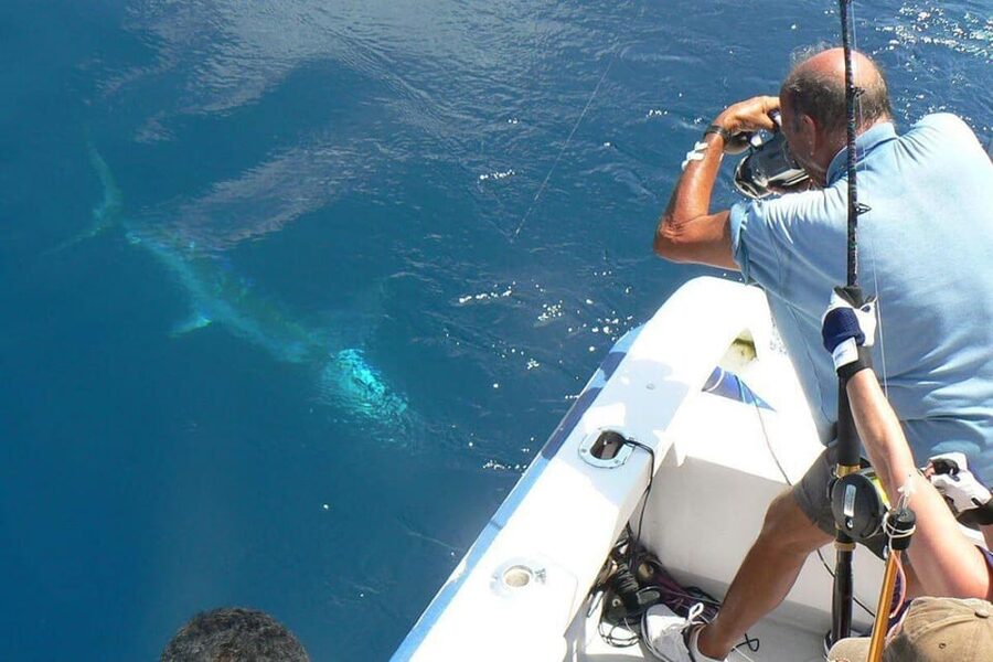 Barcelona: Coastal Fishing Trip - What four hours on the boat actually feels like