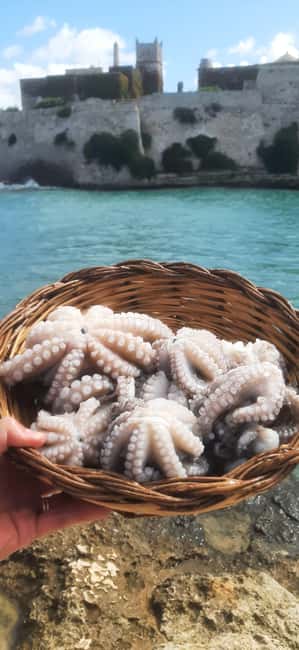 Bari: Fishing experience aboard an authentic fishing boat - Quick facts about fishing from Bari’s old port