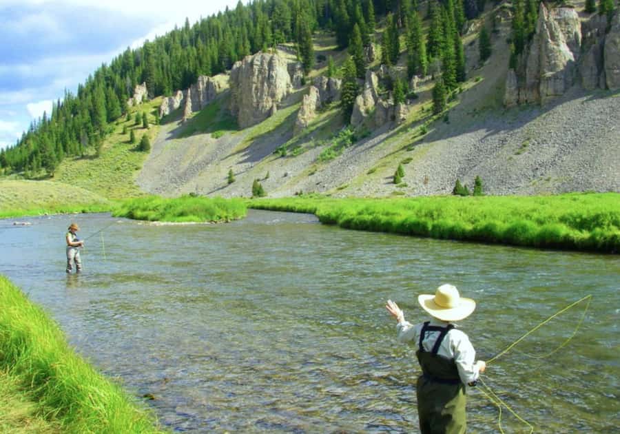 Big Sky: Learn to Fly Fish on the Gallatin River (3 hours) - Learning fish, insects, and the language of the river
