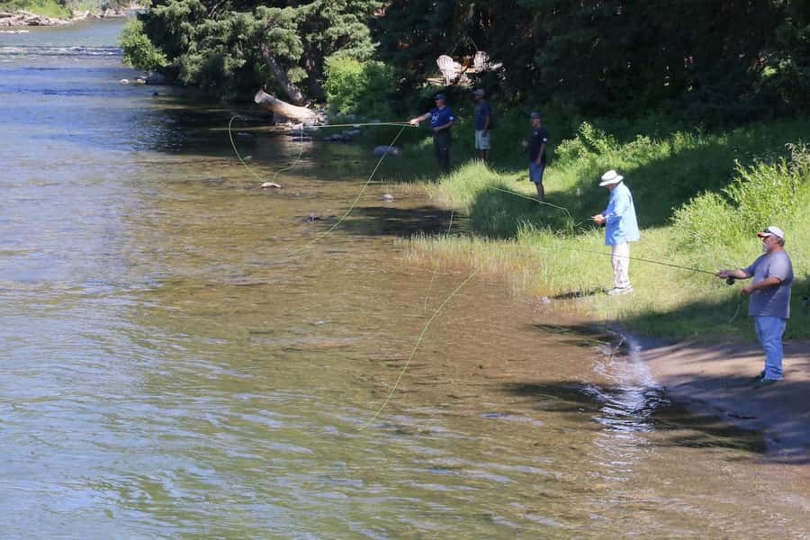 Big Sky: Learn to Fly Fish on the Gallatin River (3 hours) - How much value you get for $110
