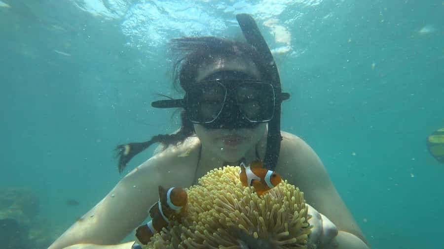 Bintan Snorkeling - Kayaking - Fun Fishing - Water Activity - What kind of Bintan day is this?