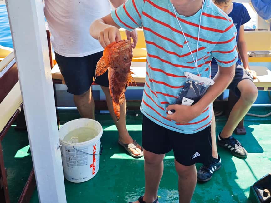 Biograd: Authentic Family friendly Fishing tour in Croatia. - Key points at a glance
