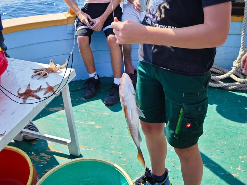 Biograd: Authentic Family friendly Fishing tour in Croatia. - Lunch made from the day’s catch