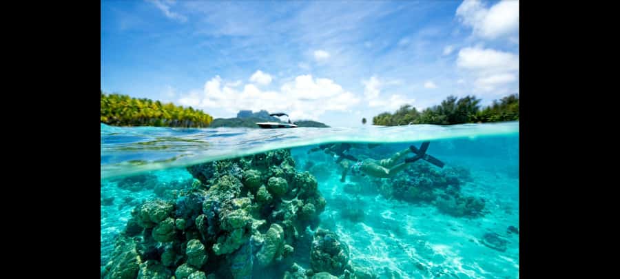 Bora Bora: Snorkeling and Fishing Tour with Lunch Option - Key points to know before booking