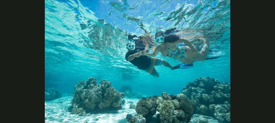 Bora Bora: Snorkeling and Fishing Tour with Lunch Option - The three-hour snorkeling route