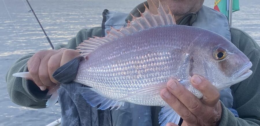 Bottom Fishing Lagos - Key points to know before booking