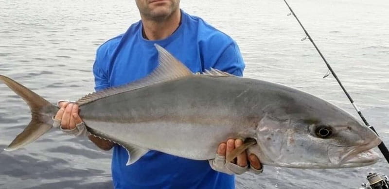 Bottom fishing & light trolling Puerto Calero, Lanzarote - Value for families, beginners, and experienced anglers
