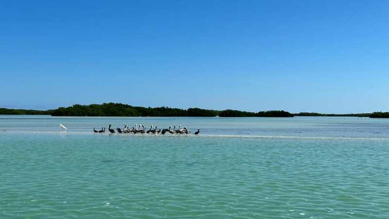 Cabo Catoche Snorkel And Fishing - Is $100 per person good value?