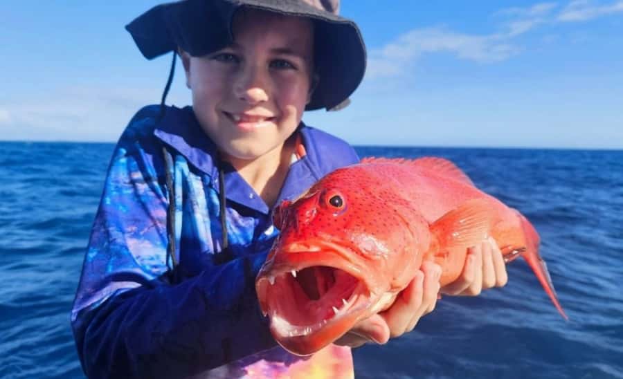 Cairns: Great Barrier Reef Fishing Charter with Lunch - Key points for your fishing day