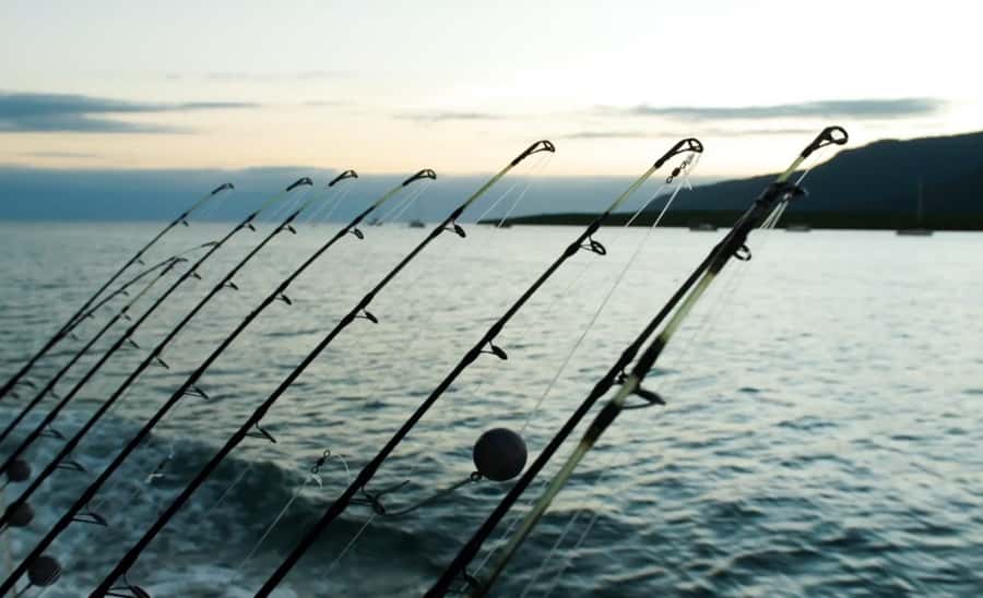 Cairns: Great Barrier Reef Fishing Charter with Lunch - Conditions can shape the whole day