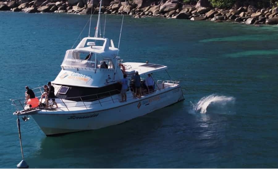 Cairns: Great Barrier Reef Fishing Charter with Lunch - Returning to Cairns between 3:30 and 4:00 PM