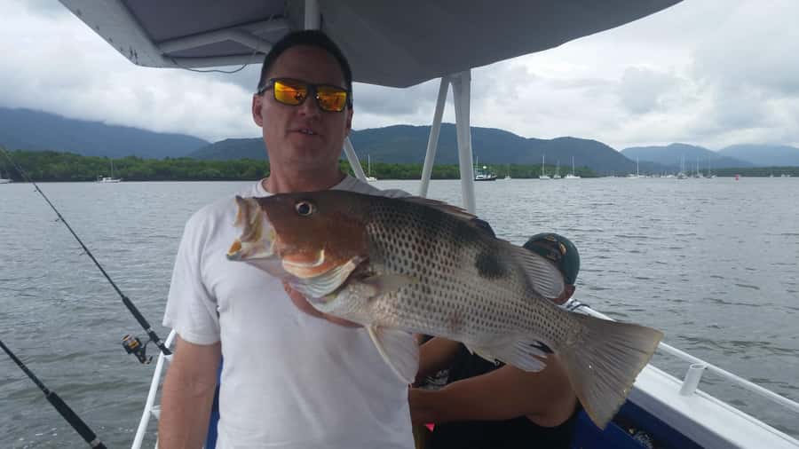 Cairns: Morning Estuary Fishing Charter - Why Trinity Inlet makes a good fishing morning