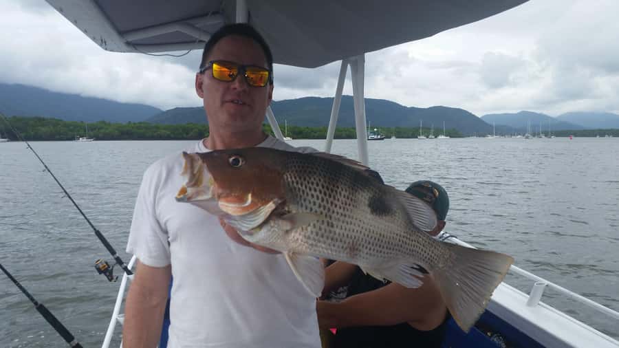 Cairns: Morning Estuary Fishing Charter - What you might catch