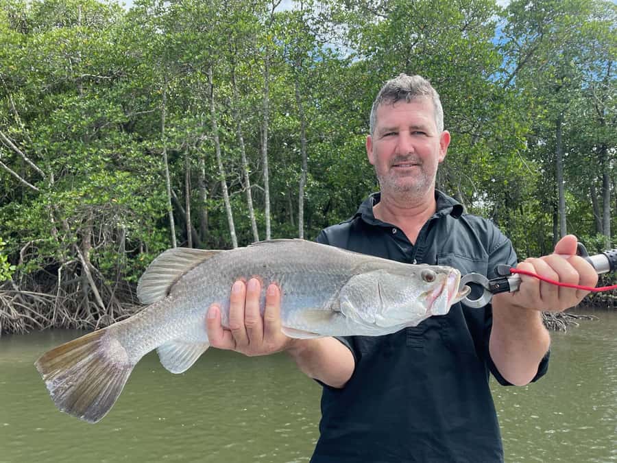 Cairns: Morning Estuary Fishing Charter - How the price compares with the experience
