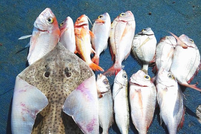 Capri Fishing Excursion with Snorkeling and Lunch from Sorrento - Key points at a glance
