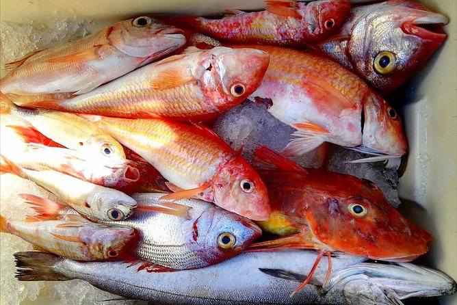 Capri Fishing Excursion with Snorkeling and Lunch from Sorrento - Why this Capri boat day feels different