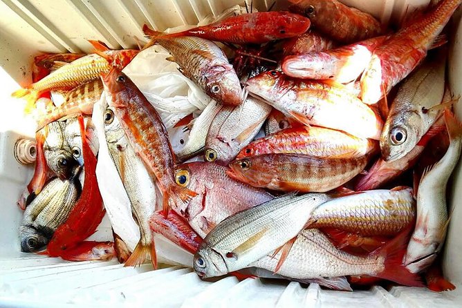 Capri Fishing Excursion with Snorkeling and Lunch from Sorrento - A catch-of-the-day lunch on the boat