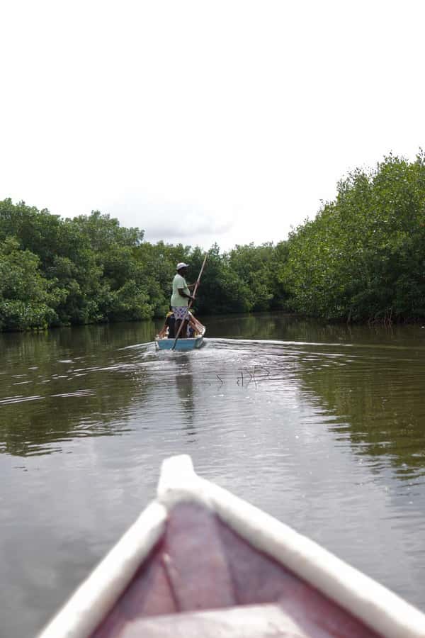Cartagena: Artisanal fishing through the mangroves - From Cartagena’s streets to the La Boquilla mangroves