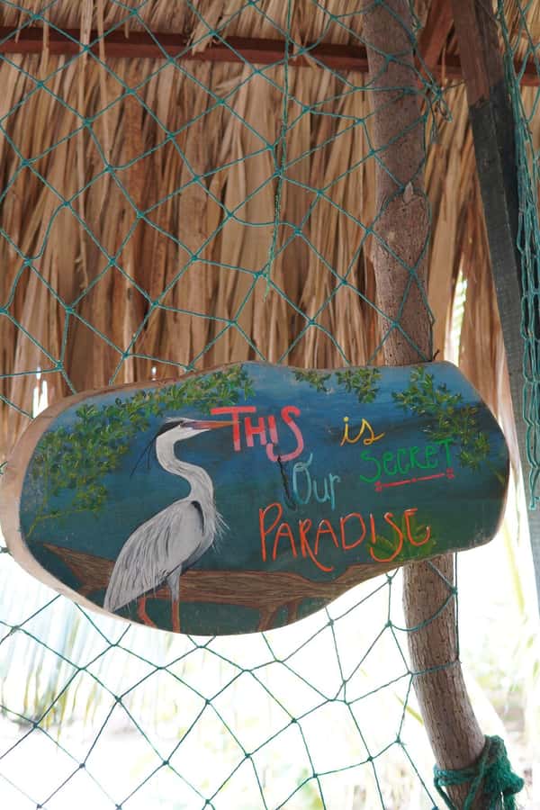 Cartagena: Artisanal fishing through the mangroves - The natural drink and return trip