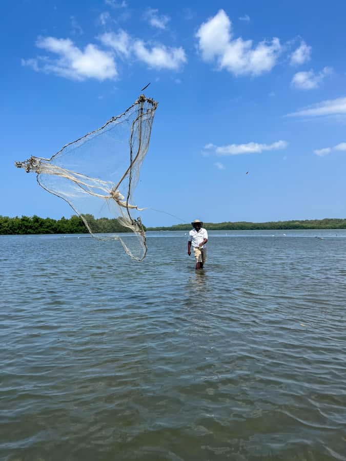 Cartagena: Artisanal fishing through the mangroves - A small island in the heart of the mangroves