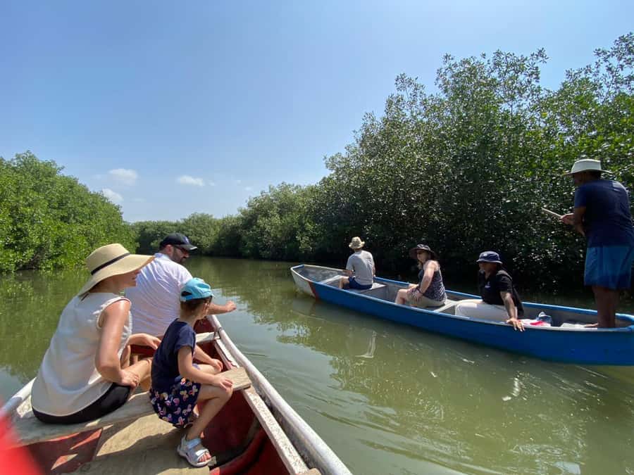 Cartagena: Mangrove Eco Tour & Fishing with Transportation - Through the mangrove channels by boat