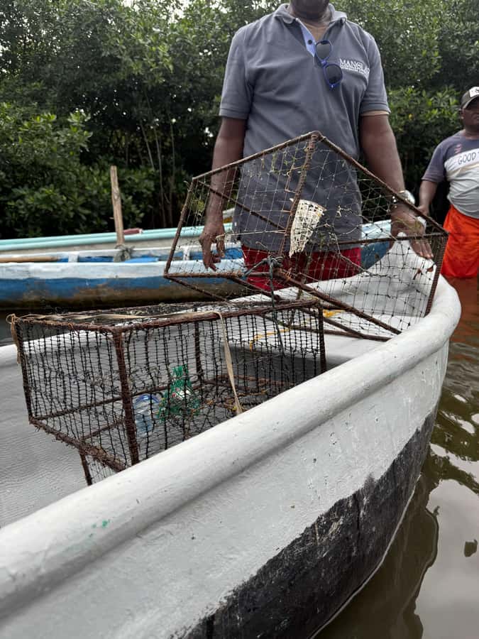 Cartagena: Mangrove Eco Tour & Fishing with Transportation - Learning to cast a net the traditional way