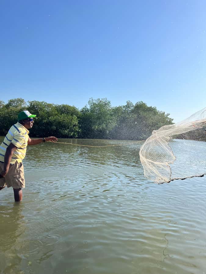 Cartagena: Mangrove Eco Tour & Fishing with Transportation - Pickup from Cartagena and the first welcome