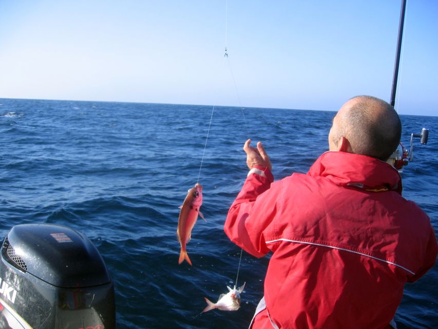 Cascais Deep-Sea Fishing Trip - Leaving Cascais Marina for the Atlantic