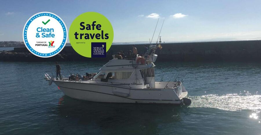 Cascais Deep-Sea Fishing Trip - What you fish for around Cascais