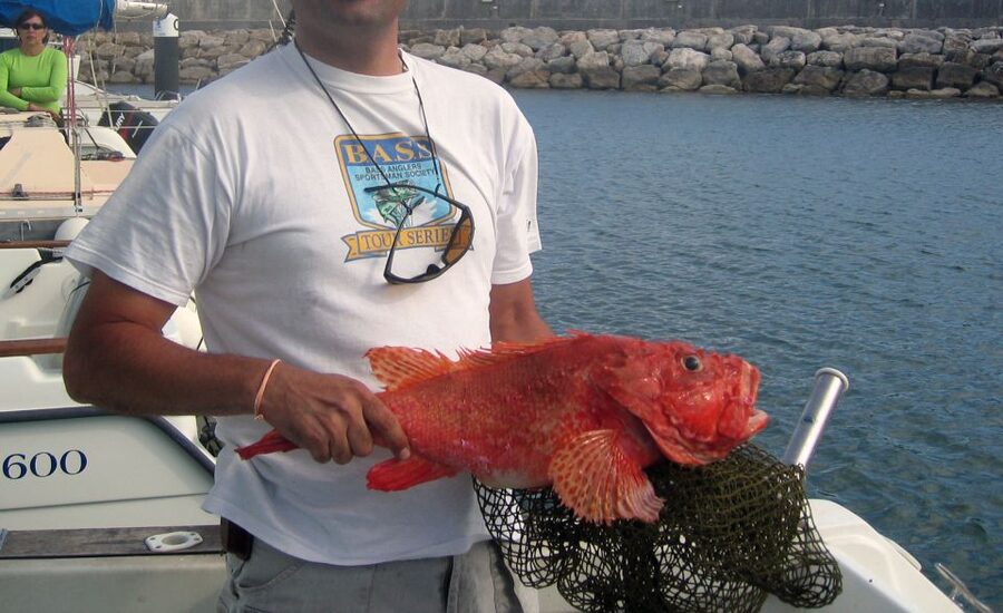 Cascais Deep-Sea Fishing Trip - Drinks, snacks, and the full-day lunch