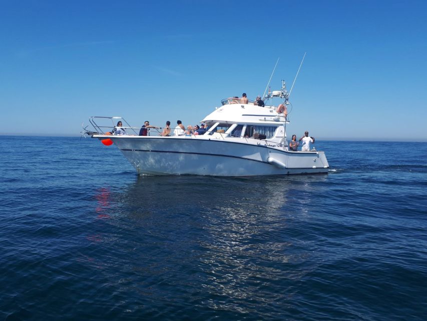 Cascais Deep-Sea Fishing Trip - What happens to the fish you catch