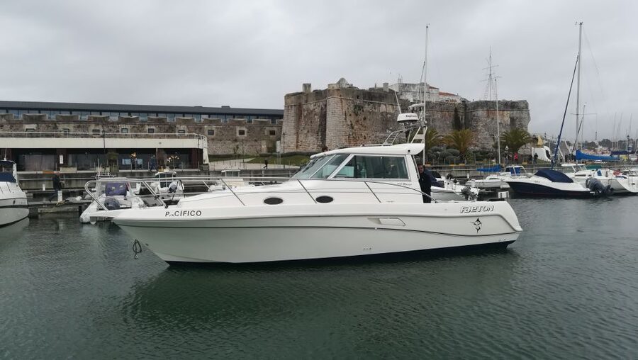 Cascais: Half-Day Fishing Trip - Who will enjoy this Cascais fishing trip?