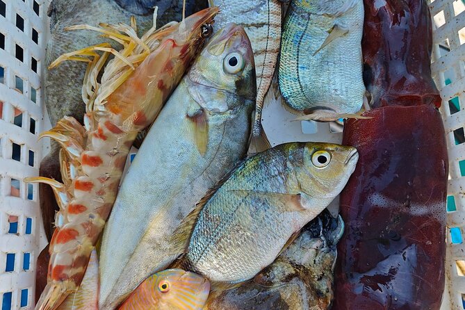 Cefalu: Boat Trip with Fishing, Coastal Tour and Lunch on Board - Hauling Up Nets Set the Day Before