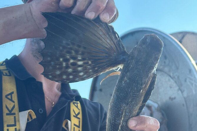 Cefalu: Boat Trip with Fishing, Coastal Tour and Lunch on Board - Practical Details Before You Book